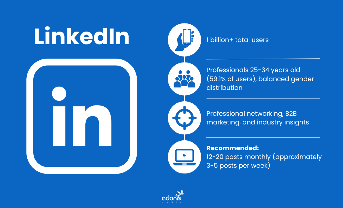 LinkedIn: number of users, type of audience, platform's focus, and posting frequency